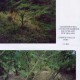 lyttleton_02